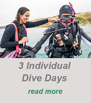 padi dive center-private dive guide-scuba diving