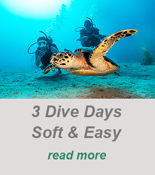 padi dive center-private dive guide-scuba diving