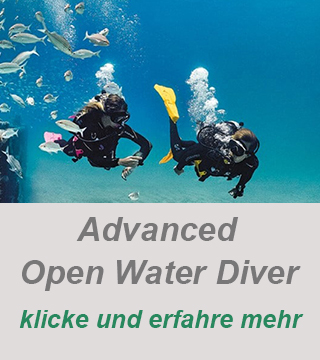 tauchkurs advanced open water diver, privater tauchlehrer,tauchkurs deutschland