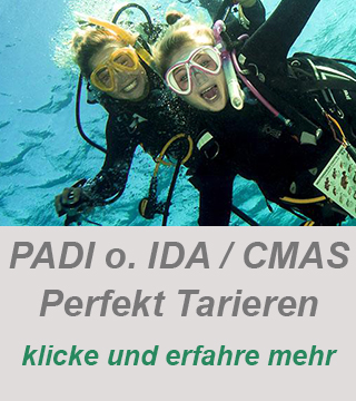 Tauchkurs, Tauchausbildung, individuelle Tauchkurse, private Tauchkurse