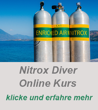 nitrox diver, padi divecenter,nitrox diver onlinekurs