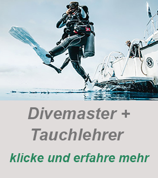 Tauchen lernen, private Tauchkurse,flexible Tauchausbildung