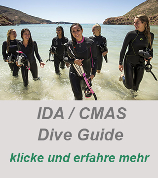 Divemaster werden, Dive Guide, Tauchlehrer Ausbildung