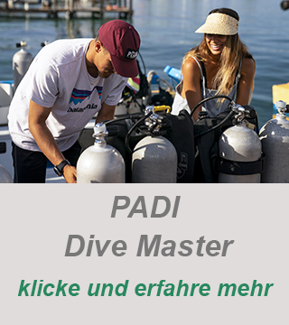 Divemaster werden, Dive Guide, Tauchlehrer Ausbildung